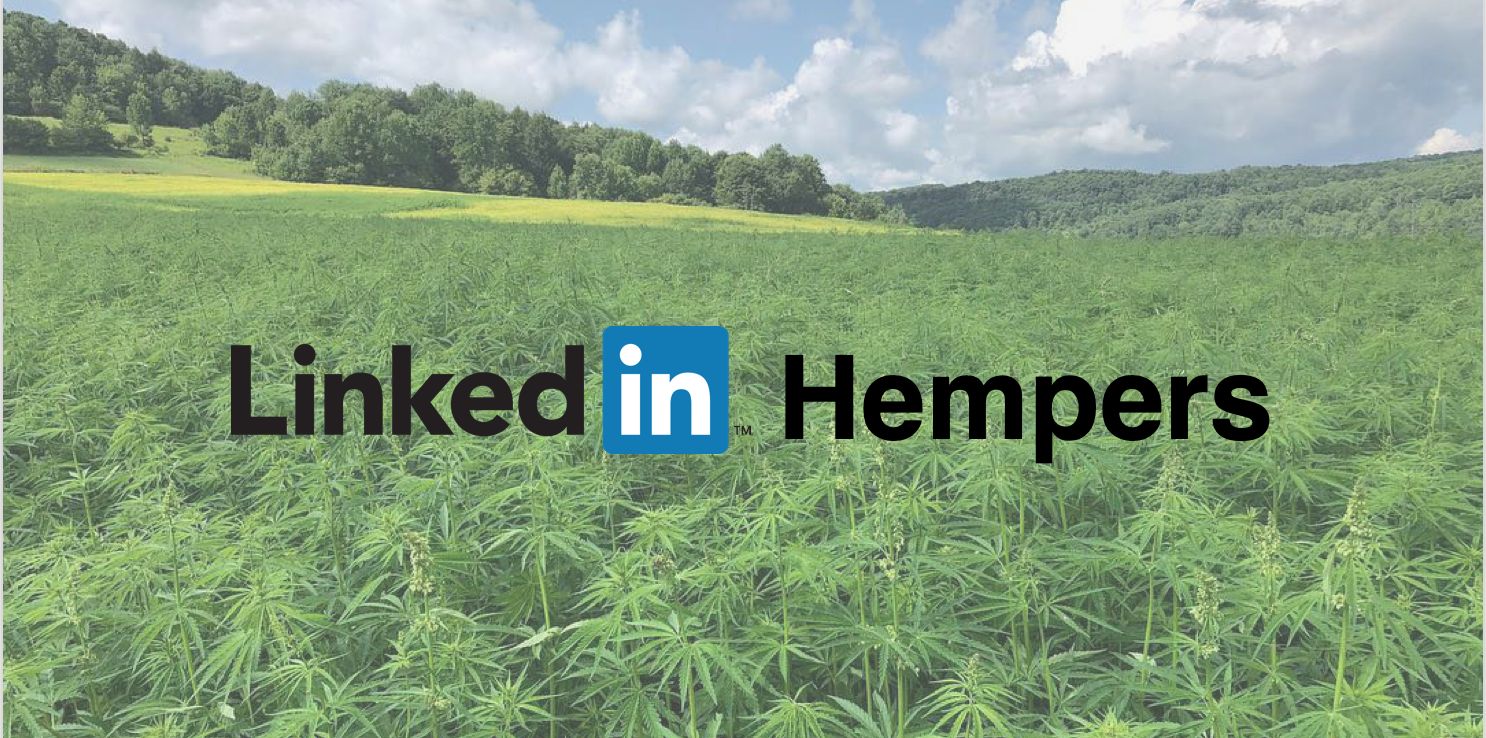 What Hempers Want Most from LinkedIn