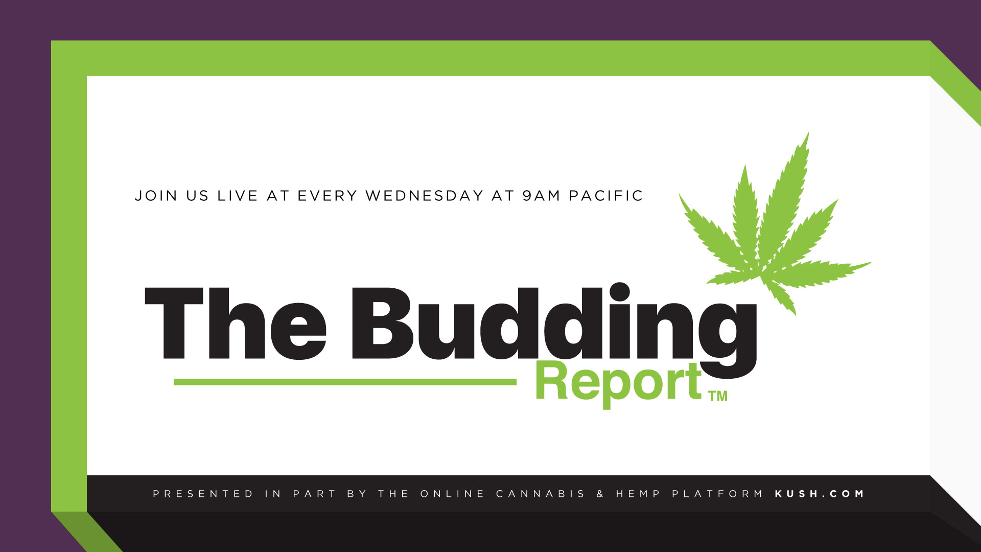 The Budding Report: Episode 108