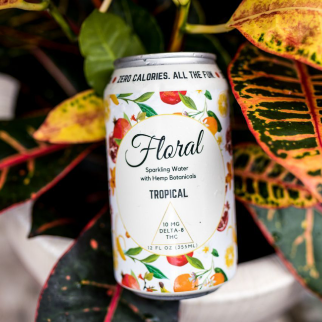 THC Seltzer: Your Guide to Fizz-Infused Relaxation