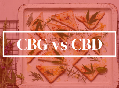 CBG vs CBD: Unveiling the Differences| Kush.com