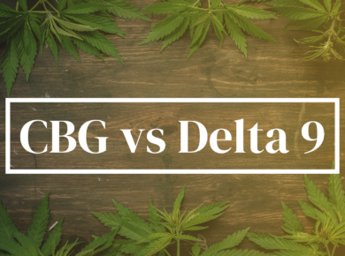 CBG Versus Delta 9-THC: A Cannabinoid Comparison| Kush.com