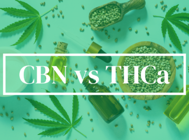 CBN vs THCa: Unveiling the Differences| Kush.com