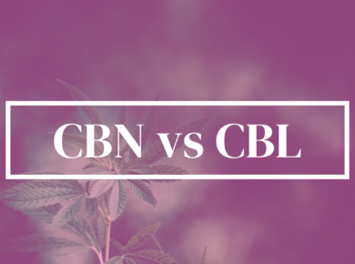 CBN vs CBL: Unraveling the Differences| Kush.com