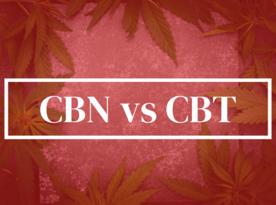 CBN vs CBT: A Comprehensive Guide to Differences and Similarities| Kush.com