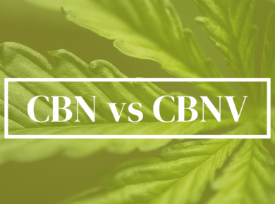 CBN vs CBNV: A Comprehensive Comparison| Kush.com