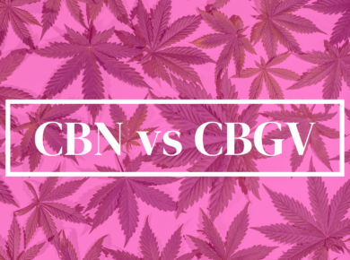 CBN vs CBGV: Unveiling the Mystery| Kush.com