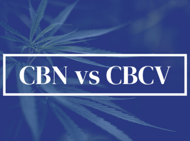 CBN vs CBCV: Navigating Through Their Differences| Kush.com