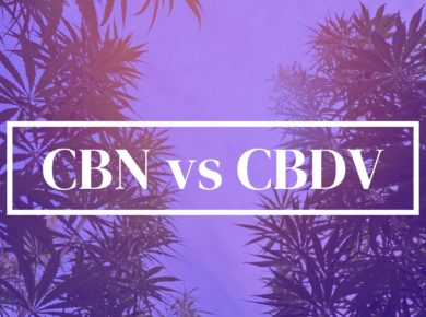 CBN vs CBDV: A Detailed Look at Distinct Cannabinoids| Kush.com