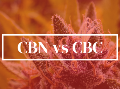 CBN vs CBC: Unveiling the Variance| Kush.com