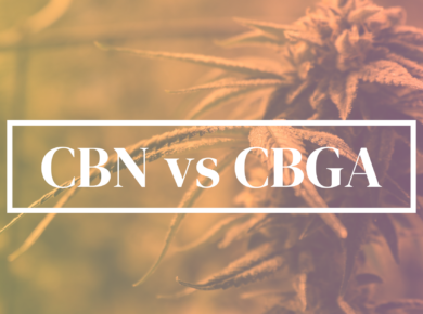 CBN vs CBGa: A Comprehensive Guide to Their Differences and Uses| Kush.com