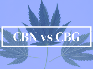 CBN vs CBG: A Comprehensive Comparison| Kush.com