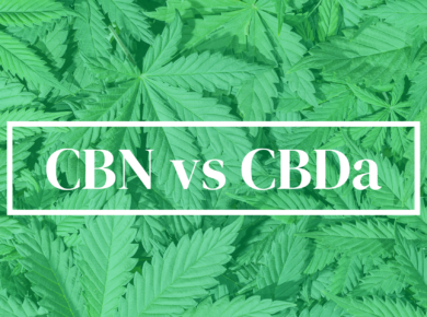 CBN vs CBDa: Navigating the Nuances| Kush.com