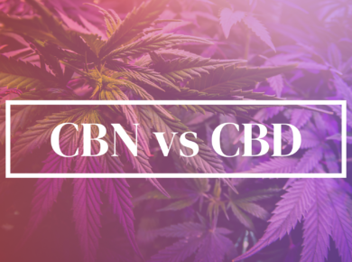 CBN vs CBD: A Comprehensive Guide| Kush.com
