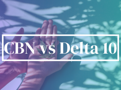 CBN vs Delta 10-THC: Exploring Their Distinctive Nature| Kush.com