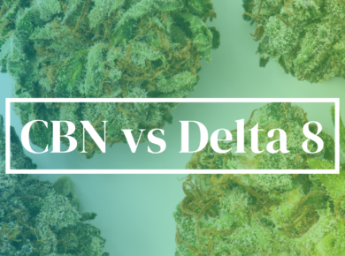 CBN vs Delta 8-THC: Unveiling the Distinctions| Kush.com