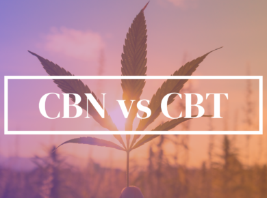 CBDa vs CBT: A Comprehensive Comparison| Kush.com