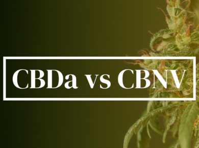 CBDa vs CBNV: A Deep Dive into Their Distinctions| Kush.com