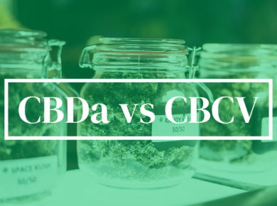 CBDa vs CBCV: Exploring the Differences| Kush.com