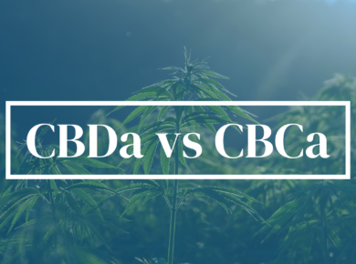 CBDa vs CBCa: Exploring the Distinct Cannabinoid Acids| Kush.com