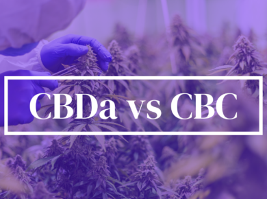 Unveiling the Mysteries: CBDa vs CBC in the Cannabinoid World| Kush.com