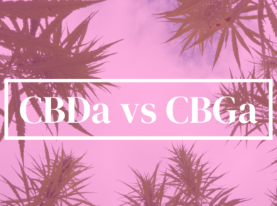 CBDa vs CBGa: Unveiling the Mysteries| Kush.com