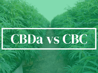 CBDa vs CBC: Unraveling the Mysteries| Kush.com