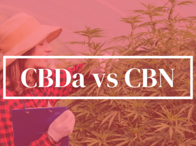 CBDa vs CBN: Navigating Through Their Differences| Kush.com