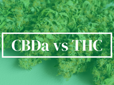 CBDa vs THC: Exploring Cannabinoid Profiles| Kush.com