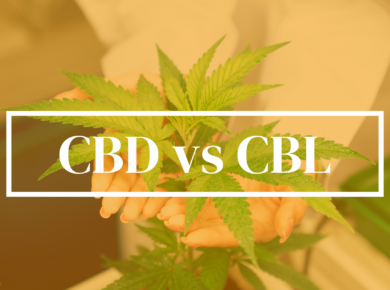 CBD vs CBL: Unveiling the Mysteries| Kush.com