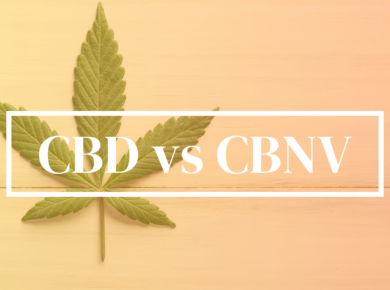 CBD vs. CBNV: Unveiling the Mysteries| Kush.com