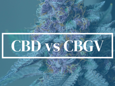 CBD vs CBGV: Navigating Cannabinoid Nuances| Kush.com