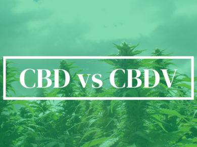 CBD vs CBDV: Exploring the Nuances