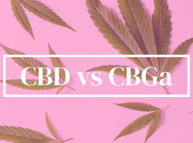CBD vs CBGa: Unraveling Their Differences| Kush.com