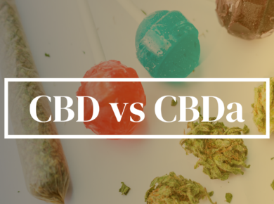 CBD vs CBDa: A Deep Dive into Their Differences| Kush.com