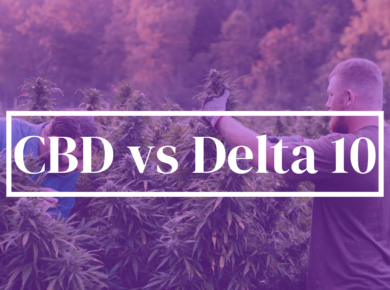 CBD vs Delta 10-THC: Unraveling the Differences| Kush.com