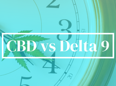 CBD vs Delta 9-THC: A Comparative Insight| Kush.com