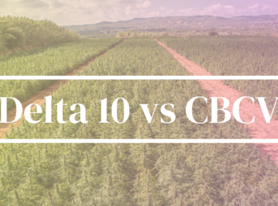 Delta 10-THC vs CBCV: A Comparative Insight