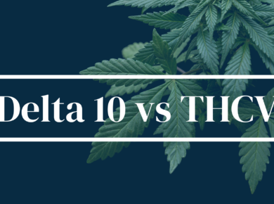 Delta 10-THC vs THCV: Unraveling the Differences| Kush.com