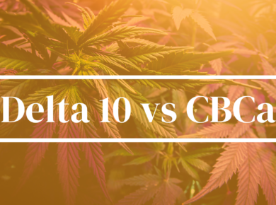Delta 10-THC vs CBCa: What Sets Them Apart?| Kush.com
