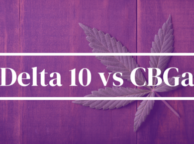 Delta 10 vs CBGa: What Sets Them Apart?| Kush.com