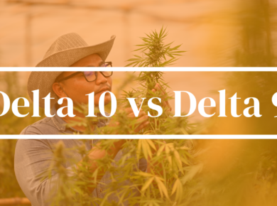 Delta 10 vs Delta 9 THC: Unraveling the Differences| Kush.com