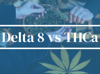 Delta 8-THC vs THCa: Understanding Their Distinctions| Kush.com