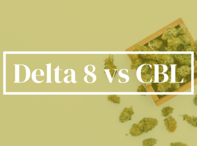 Delta 8-THC vs CBL: Drawing the Line| Kush.com