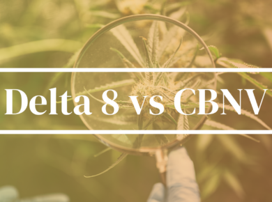 Delta 8-THC vs CBNV: Unraveling the Differences| Kush.com
