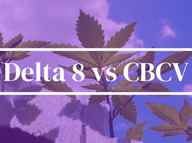 Delta 8-THC vs CBCV: Unraveling Their Differences| Kush.com