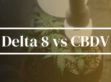 Delta 8-THC vs CBDV: A Comparative Analysis| Kush.com