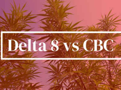 Delta 8-THC vs CBC: Understanding the Distinction| Kush.com