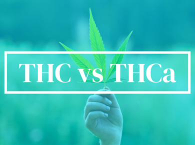 THC vs THCa: Understanding the Distinction| Kush.com