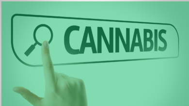 How To Master Cannabis Search Engine Optimization| Kush.com