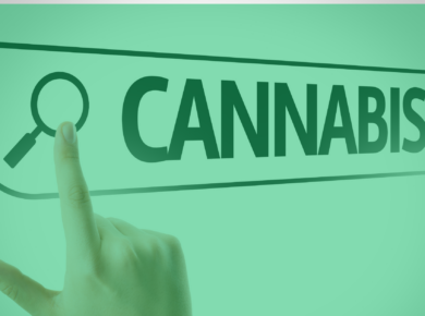 How To Master Cannabis Search Engine Optimization| Kush.com
